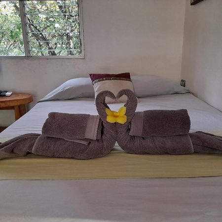 Hotel El Colibri Rojo - Cabinas - Le Colibri Rouge カウイータ 部屋 写真
