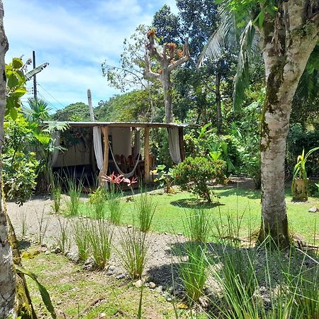 Hotel El Colibri Rojo - Cabinas - Le Colibri Rouge カウイータ 部屋 写真