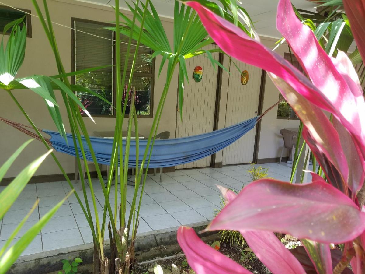 Hotel El Colibri Rojo - Cabinas - Le Colibri Rouge カウイータ エクステリア 写真