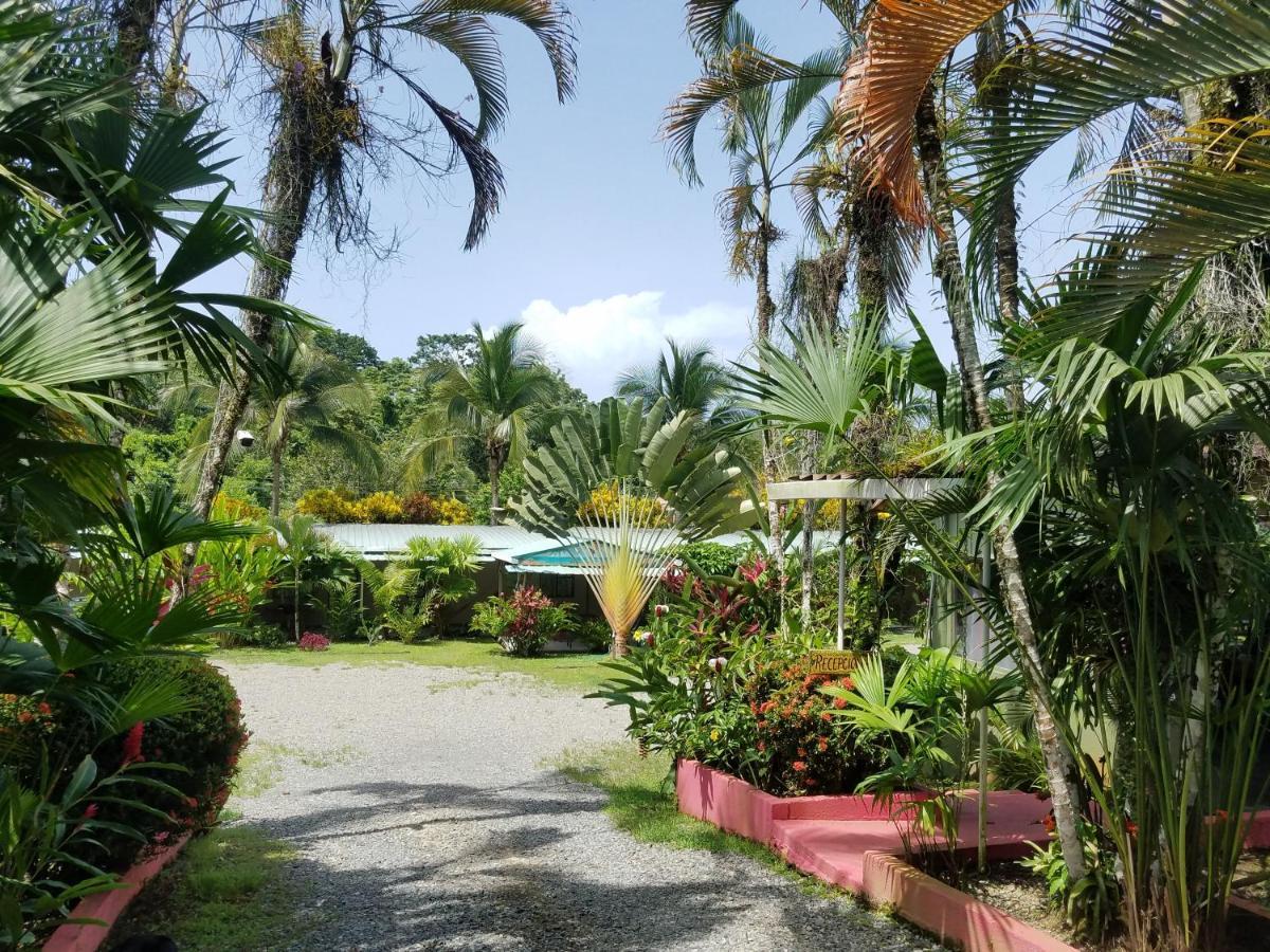 Hotel El Colibri Rojo - Cabinas - Le Colibri Rouge カウイータ エクステリア 写真