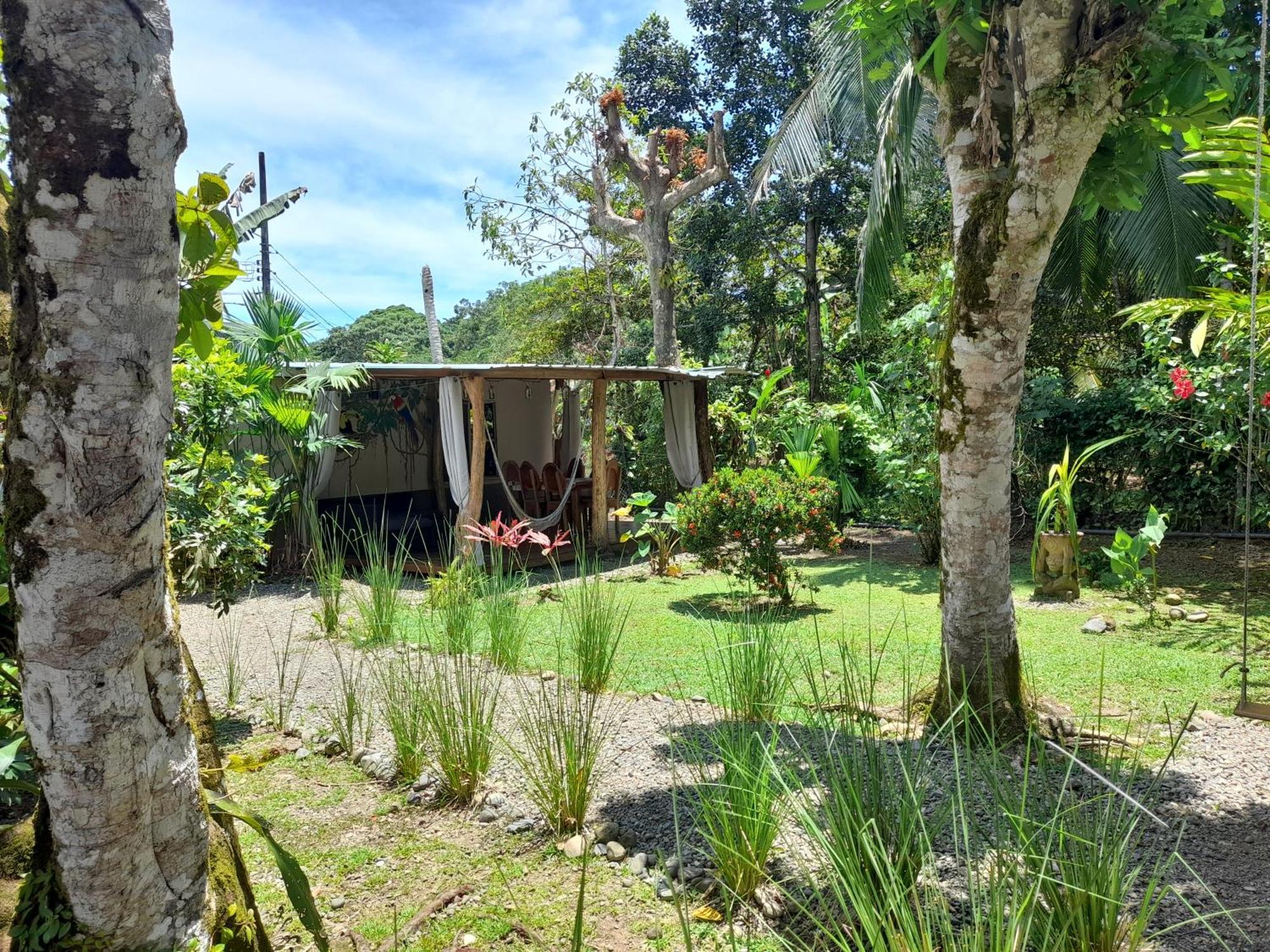 Hotel El Colibri Rojo - Cabinas - Le Colibri Rouge カウイータ 部屋 写真